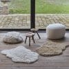 Tapis en laine lavable Woolly Sheep Beige 75x110 Collection Woolable - Lorena Canals – Image 2